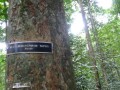 Tn 0950 DSC00125